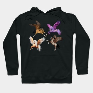 Unicorns in motion Hoodie